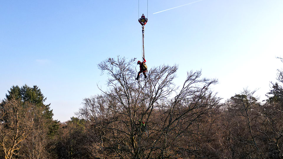 Baumpflegearbeiten mit Kran