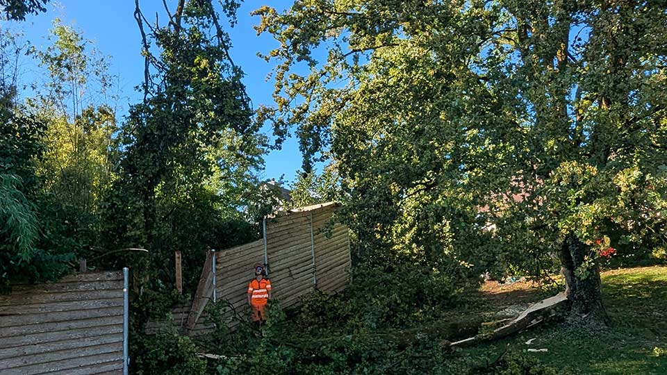 Aufräumarbeiten der Sturmschäden in der Region Schaffhausen
